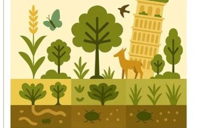 Workshop ASBM “Biodiversità come risorsa per mitigare gli stress negli ecosistemi agrari, naturali e antropizzati. Pisa, 30 giugno – 1 luglio 2026